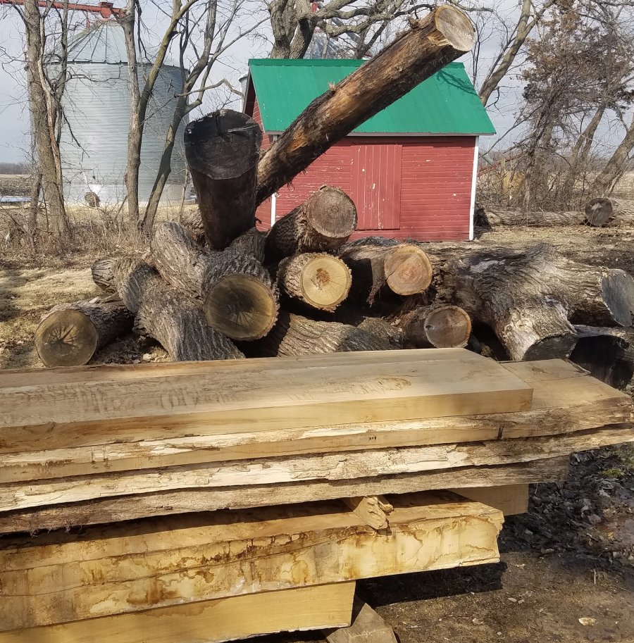 Sawmill Service : Custom Log Sawing
