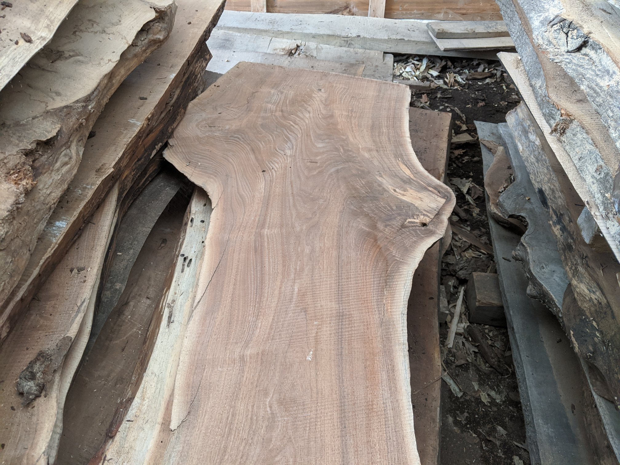Large Inventory of Live Edge Slabs